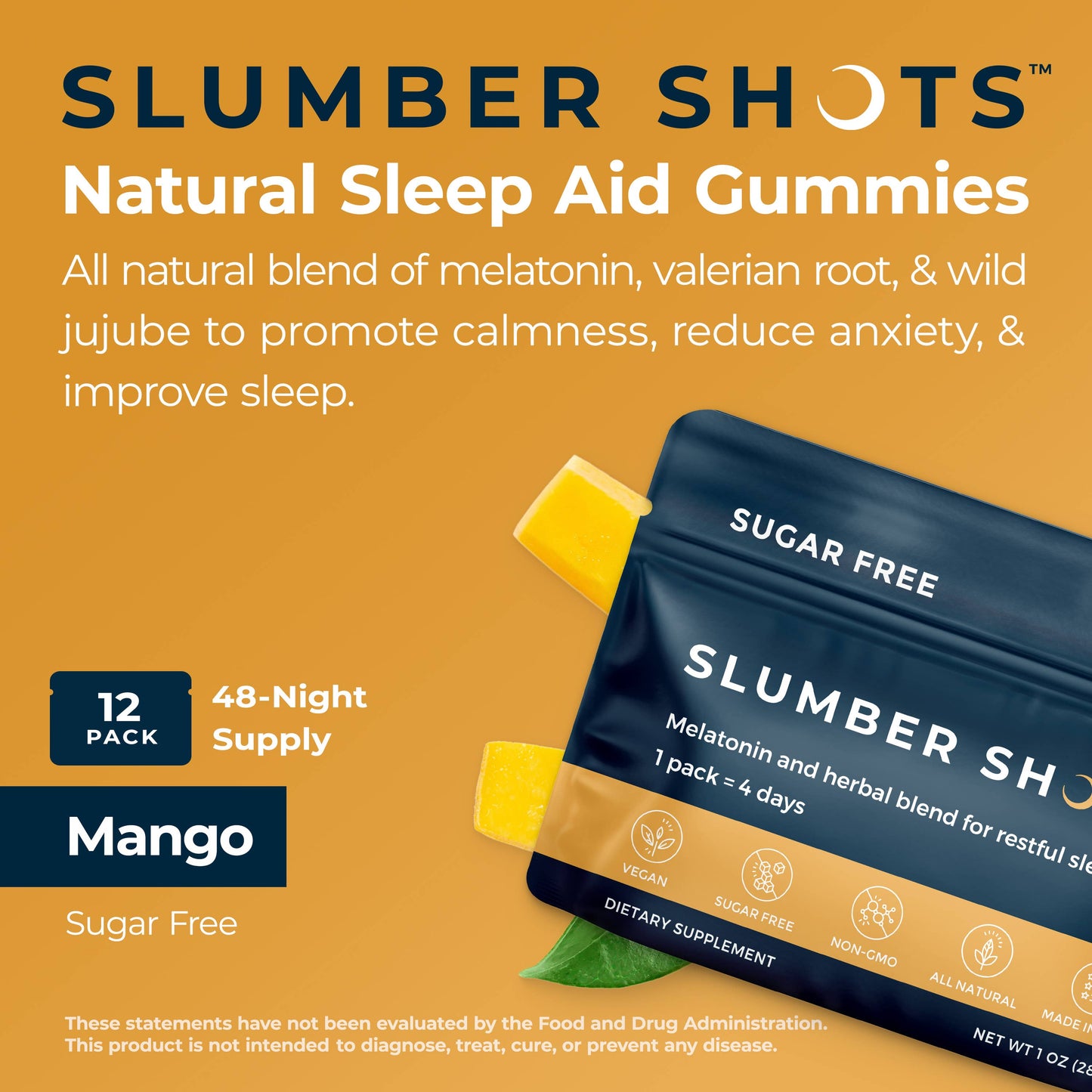 Slumber Shots Sleep Aid SUGAR FREE 48-Serving | 12-Pack